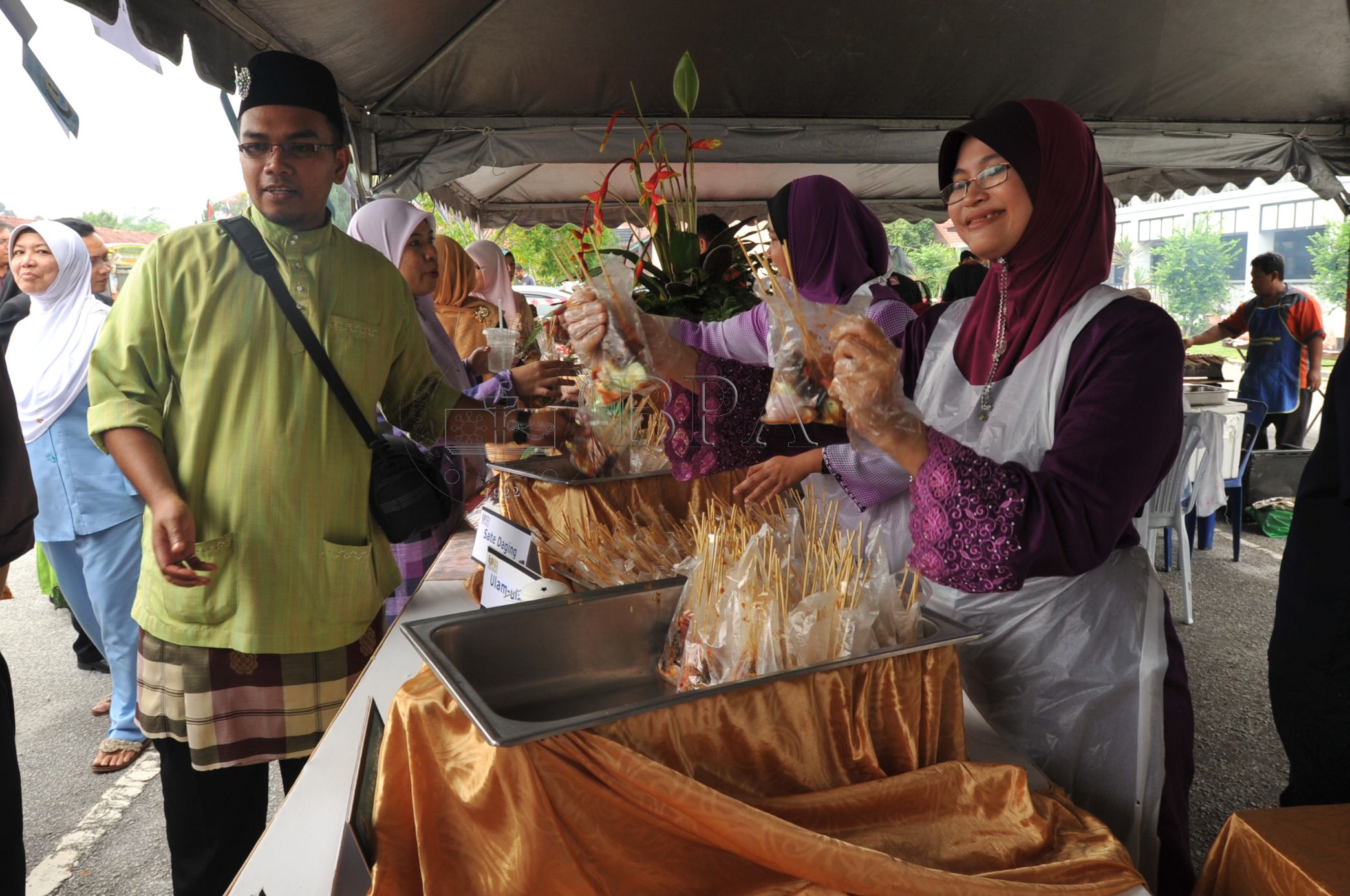 BPA 12 110 APC PRO 5408